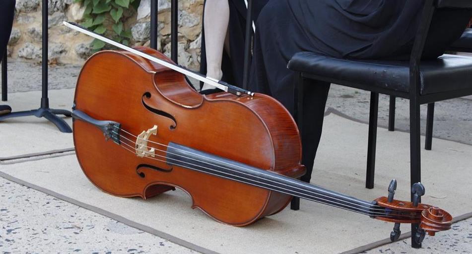 Chinese New Year String Quartet Backyard Events Perth City Farm